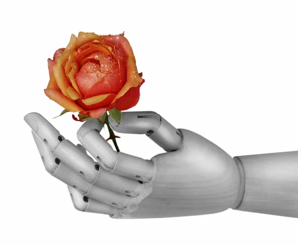 机器人手拿玫瑰 — 图库照片