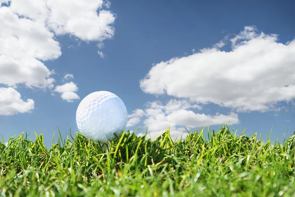 Close up golf course — Stock Photo, Image