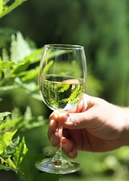 Man med glas vitt vin gör en toast — Stockfoto