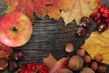 Thanksgiving background clipart