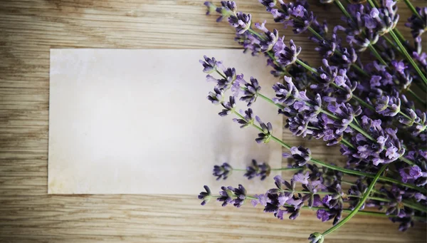 Flores de lavanda sobre fundo de madeira — Fotografia de Stock