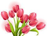 tulipán csokor