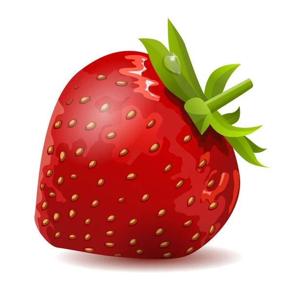 Reife Erdbeere — Stockvektor