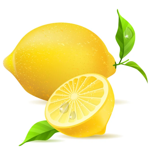 Limone realistico e mezzo — Vettoriale Stock
