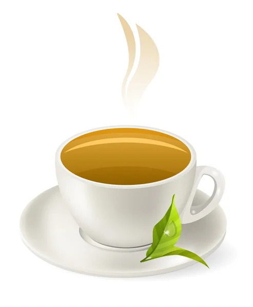 Cup of hot green tea — Stock Vector