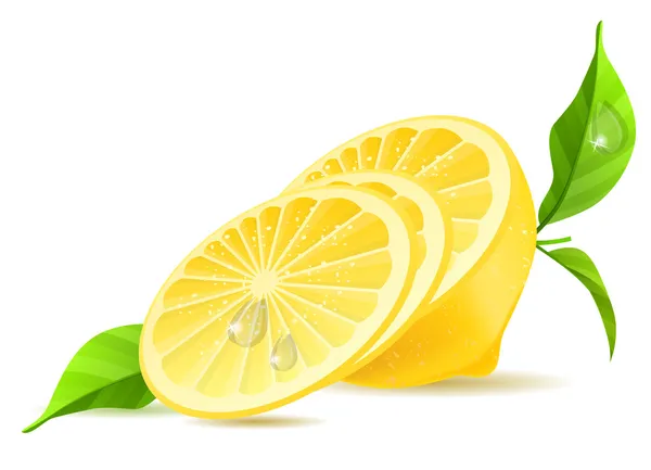 Die Hälfte der Zitrone und Scheiben — Stockvektor