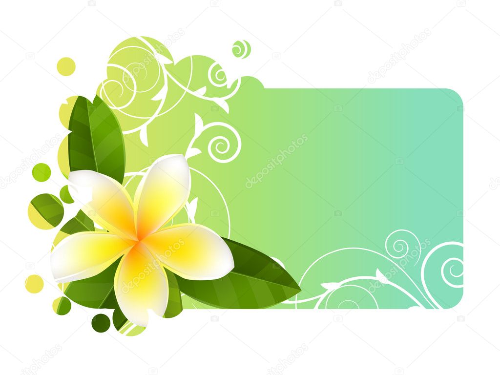 Tropic banner with frangipani