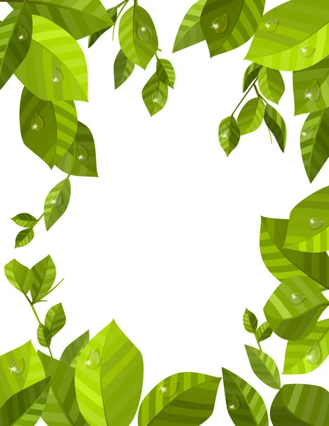Keret zöld levelekkel — Stock Vector