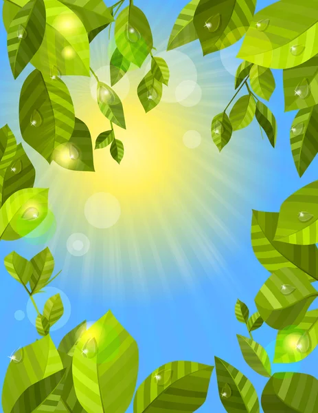 Πλαίσιο με πράσινα φύλλα — Διανυσματικό Αρχείο