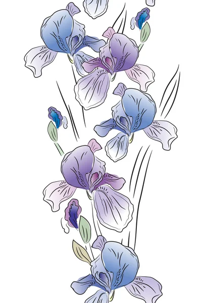 Seamless vertical border with irises — Stok Vektör