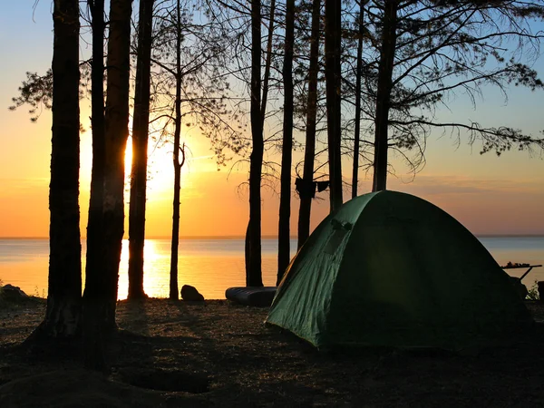Tent in het bos Rechtenvrije Stockfoto's