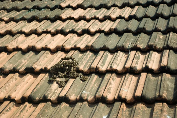 Goan kachlová střechy textura — Stock fotografie