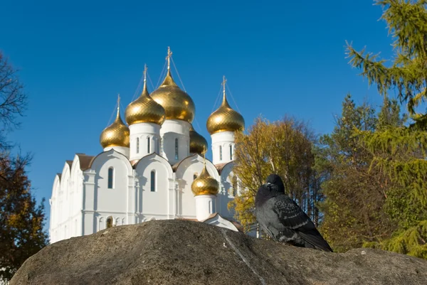 Paloma y catedral de Uspenski en Yaroslavl — Foto de Stock