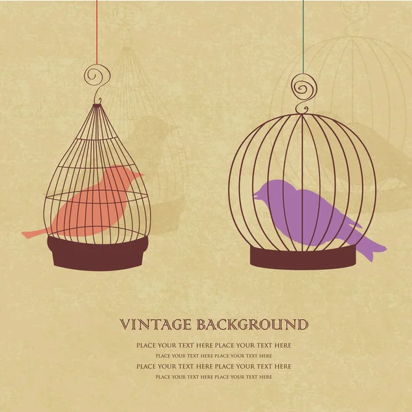 Carte vintage avec deux oiseaux mignons dans des cages rétro — Photo