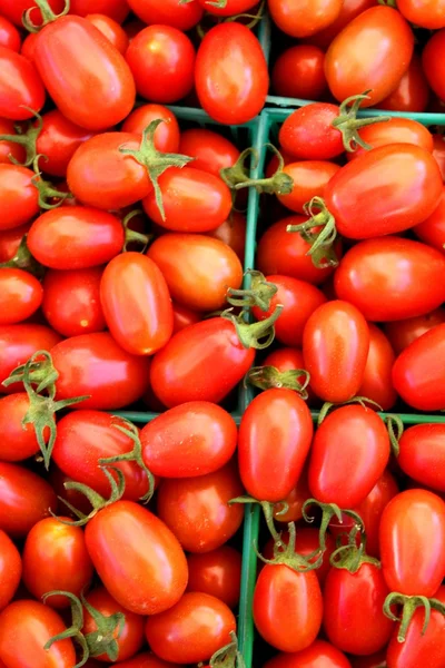 Cherry Tomatos — Stock Photo, Image