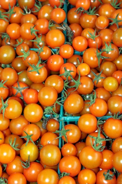 Oranžový cherry rajčata — Stock fotografie