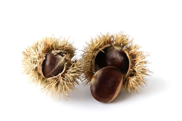 Stock image Chestnuts