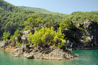 Harika bir manzara mounttain yeşil Kanyon Türkiye'de