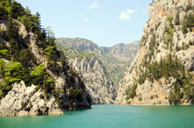 Harika bir manzara mounttain yeşil Kanyon Türkiye'de