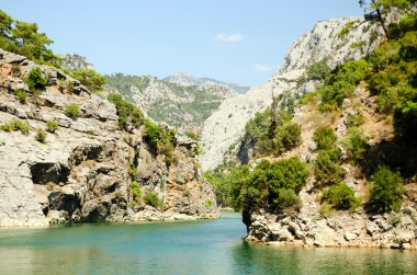 Harika bir manzara mounttain yeşil Kanyon Türkiye'de