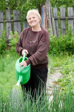 The elderly woman works on a kitchen garden clipart