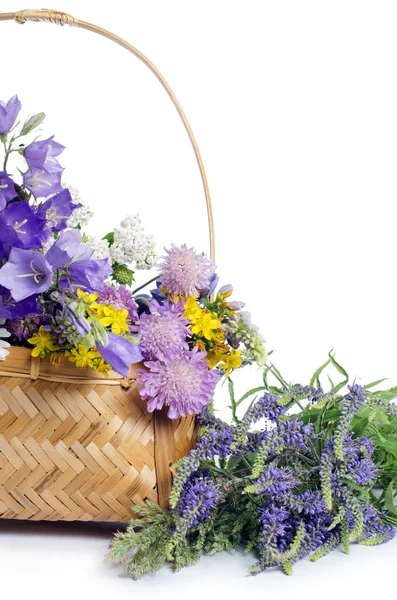 Hermosas flores en una cesta aislada en blanco —  Fotos de Stock