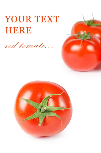 Rode verse tomaat geïsoleerd op wit — Stockfoto