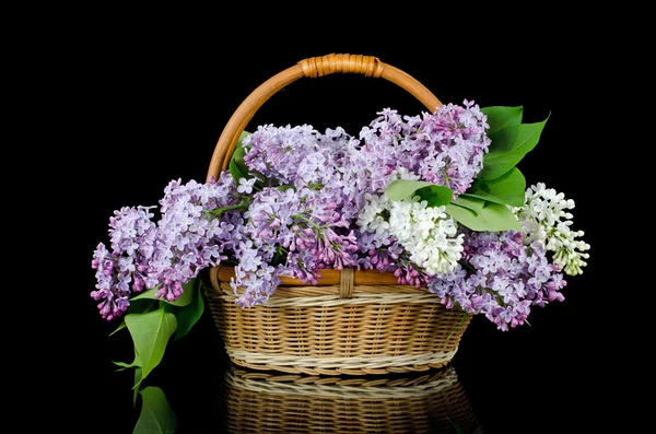 Bouquet de lilas dans un panier ondulé — Photo