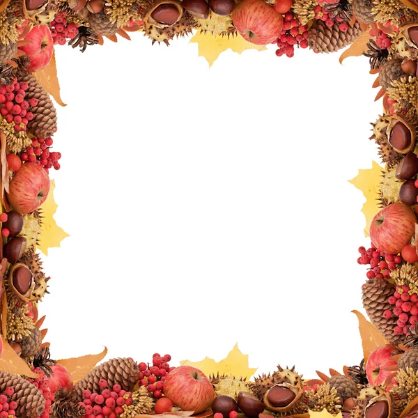 Őszi levelek és gyümölcsök elszigetelt — Stock Fotó