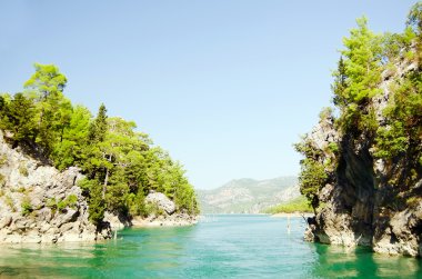 Harika bir manzara mounttain yeşil Kanyon