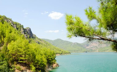 Harika bir manzara mounttain yeşil Kanyon