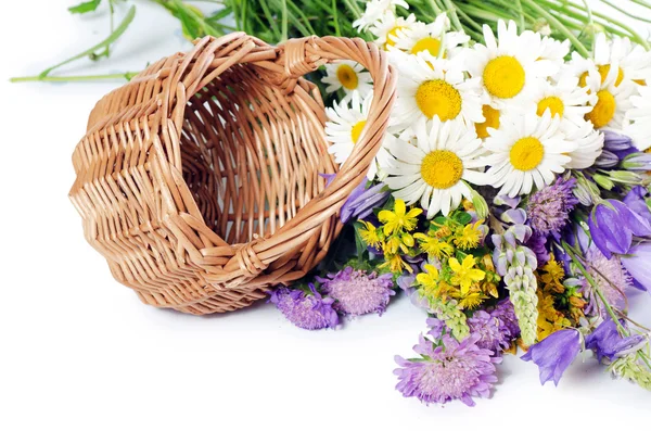 Hermosas flores en una cesta aislada en blanco — Foto de Stock