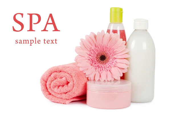 Ζέρμπερα ροζ και μια πετσέτα — Φωτογραφία Αρχείου