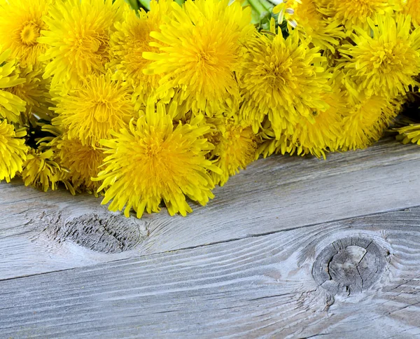 Yellow dandelion on a wooden surface — Stock Photo, Image