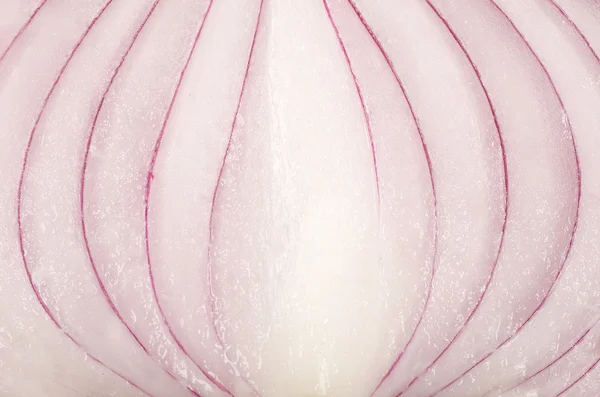 Fresh onions — Stock Photo, Image