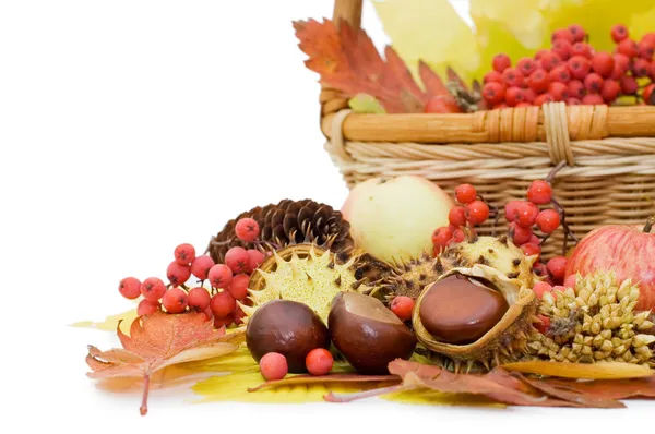 Őszi levelek és gyümölcsök elszigetelt — Stock Fotó
