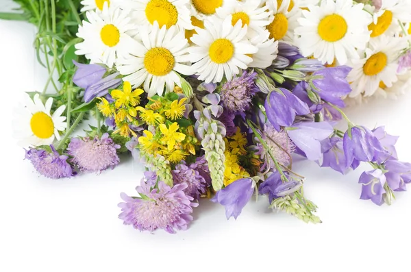 Bouquet di camomilla selvatica — Foto Stock