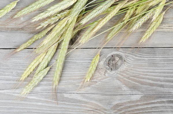 The fresh wheat isolated on white — Stock Photo, Image