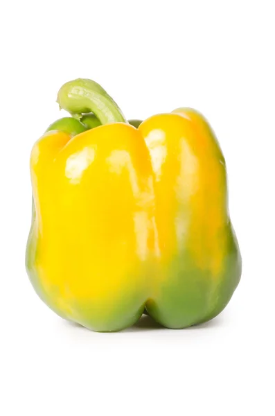 Φρέσκο πιπέρι απομονωμένο σε λευκό φόντο — Φωτογραφία Αρχείου