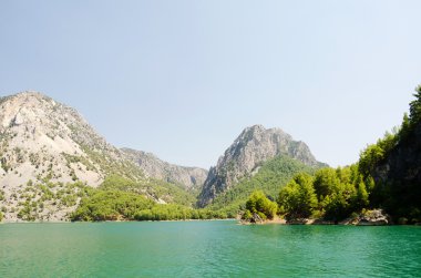 Harika bir manzara mounttain yeşil Kanyon