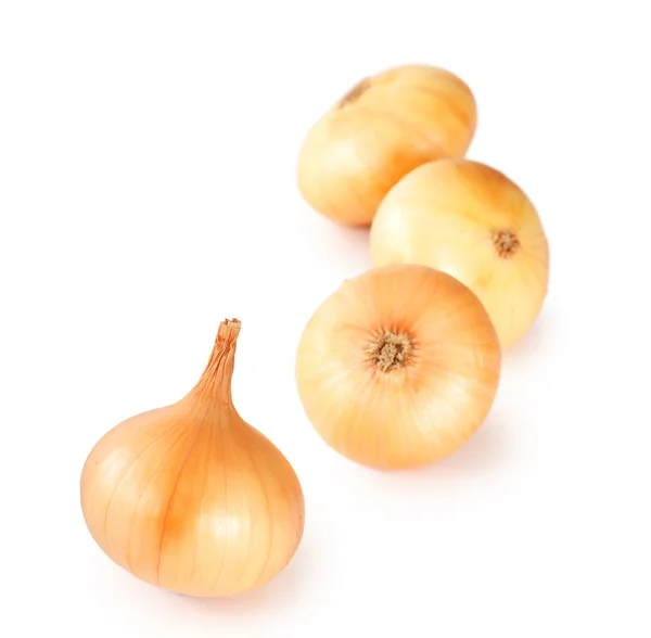 Świeżej cebuli — Zdjęcie stockowe
