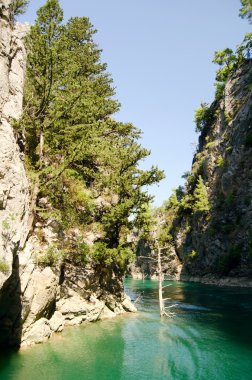 Harika bir manzara mounttain yeşil Kanyon