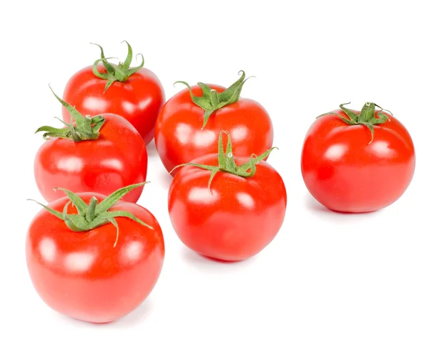 Tomaatti eristetty valkoisella pohjalla — kuvapankkivalokuva