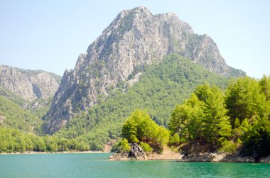 Harika bir manzara mounttain yeşil Kanyon