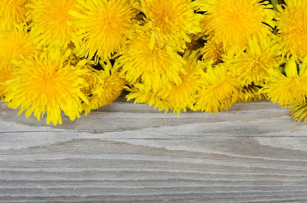 Żółty mniszek na powierzchni drewnianych — Zdjęcie stockowe