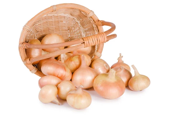 Cebollas frescas —  Fotos de Stock