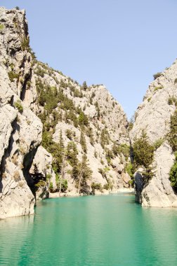 Harika bir manzara mounttain yeşil Kanyon