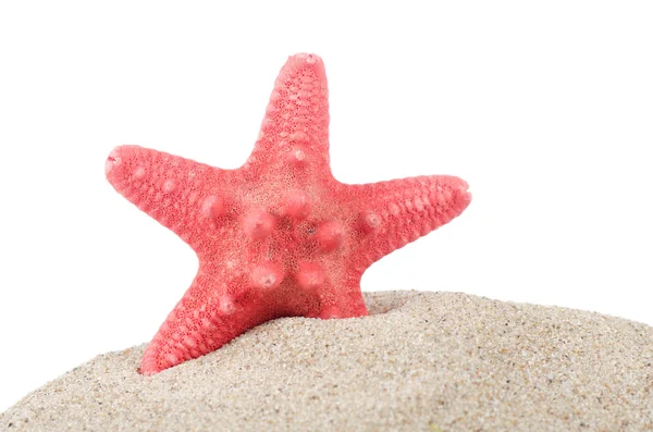 Deniz yıldızı beyaz üzerinde izole — Stok fotoğraf