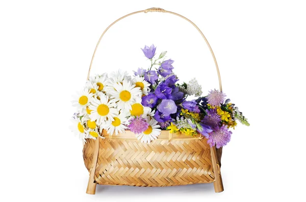 Mooie bloemen in een mand geïsoleerd op wit — Stockfoto