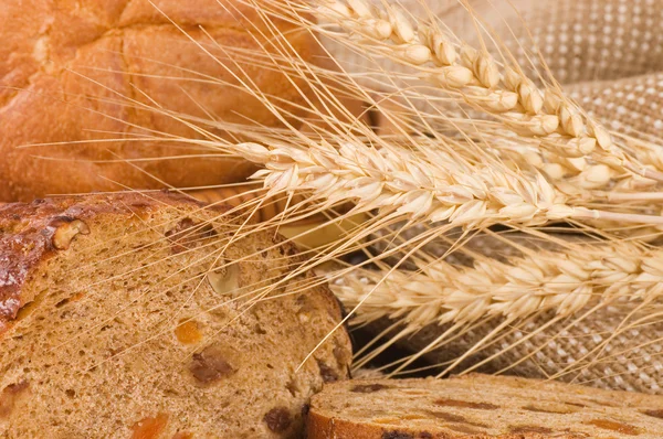 Pane fresco con spiga di grano — Foto Stock